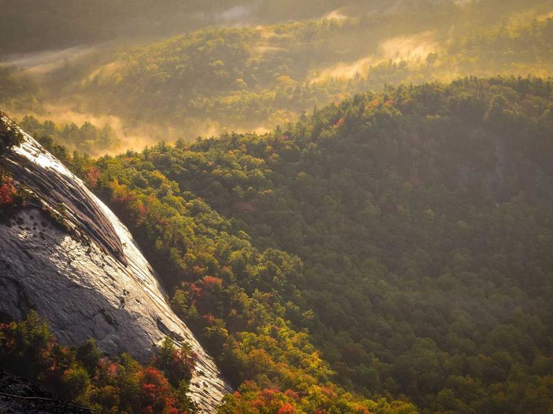Prótesis Removible y Fija Mendoza